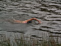 muty-pict4870.jpg
