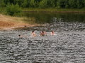 muty-pict4901.jpg
