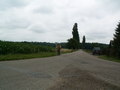 muty-pict4951.jpg
