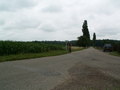 muty-pict4952.jpg
