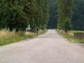 muty-pict4958.jpg
