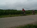 muty-pict4995.jpg
