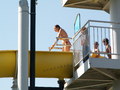 muty-pict5095.jpg
