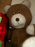 muty-pict5162.jpg
