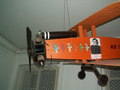 muty-pict5167.jpg
