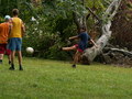 muty-pict5195.jpg
