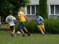 muty-pict5204.jpg
