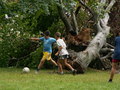 muty-pict5205.jpg
