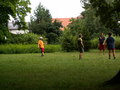 muty-pict5238.jpg
