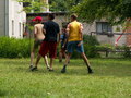 muty-pict5241.jpg
