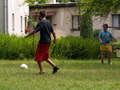 muty-pict5253.jpg
