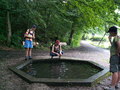 muty-pict5362.jpg
