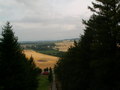 muty-pict5476.jpg
