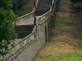 muty-pict5503.jpg
