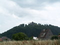 muty-pict5506.jpg
