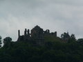 muty-pict5509.jpg
