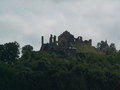 muty-pict5514.jpg

