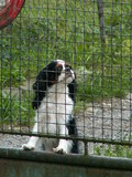 muty-pict5522.jpg
