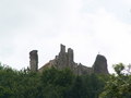 muty-pict5529.jpg
