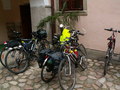 muty-pict5531.jpg
