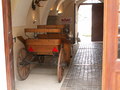 muty-pict5701.jpg
