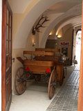 muty-pict5703.jpg
