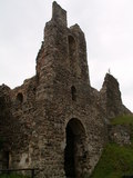 muty-pict5721.jpg
