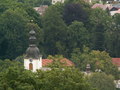 muty-pict5722.jpg
