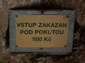 muty-pict5725.jpg
