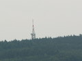 muty-pict5746.jpg
