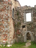 muty-pict5749.jpg
