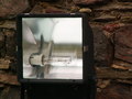 muty-pict5760.jpg
