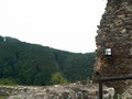 muty-pict5761.jpg
