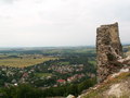 muty-pict5771.jpg
