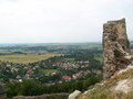 muty-pict5773.jpg
