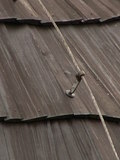 muty-pict5787.jpg
