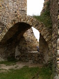 muty-pict5790.jpg

