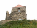 muty-pict5818.jpg
