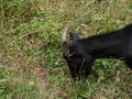 muty-pict5821.jpg
