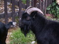 muty-pict5835.jpg
