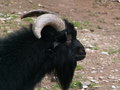 muty-pict5840.jpg
