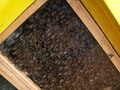 muty-pict5843.jpg
