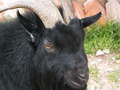 muty-pict5864.jpg

