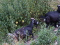 muty-pict5871.jpg
