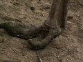 muty-pict5884.jpg
