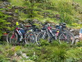 muty-pict5886.jpg
