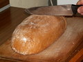 muty-pict5901.jpg
