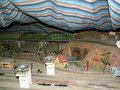 muty-pict5992.jpg
