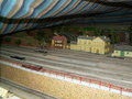 muty-pict5993.jpg
