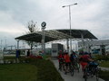 muty-pict6008.jpg
